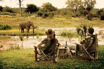 Motswari Private Game Reserve - Timbavati Klaserie Private Nature Reserve Exteriör bild